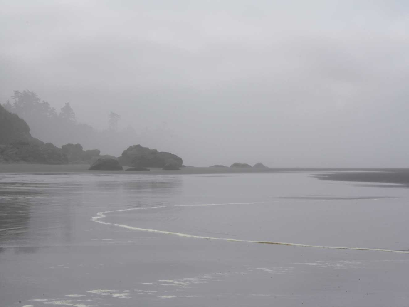 Washington Coast