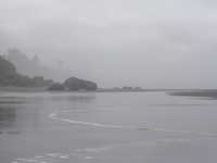 WashingtonCoast