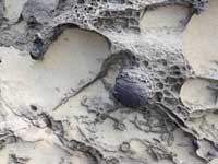 sandstone